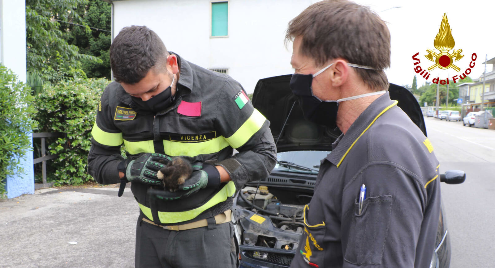 Gattino Intrappolato Nel Motore Di Un Auto Salvato Dai Pompieri Foto