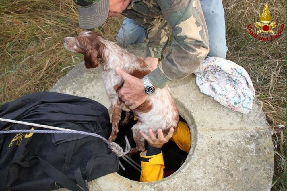 cane-salvato-vigili