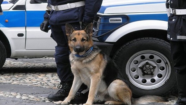 polizia-municipale-cinofili