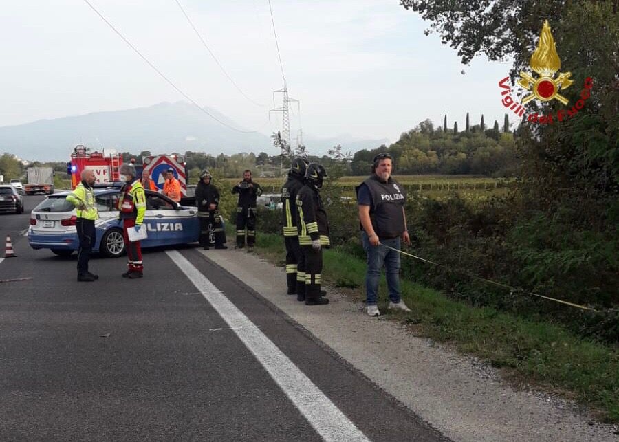 Recinto per Cani - Fabbro Verona Artigiana Bertasi Cavaion