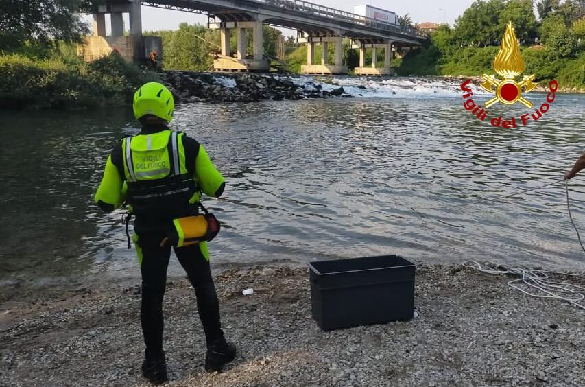 27enne si tuffa nel Brenta per nuotare e annega: recuperato corpo dai vigili del fuoco